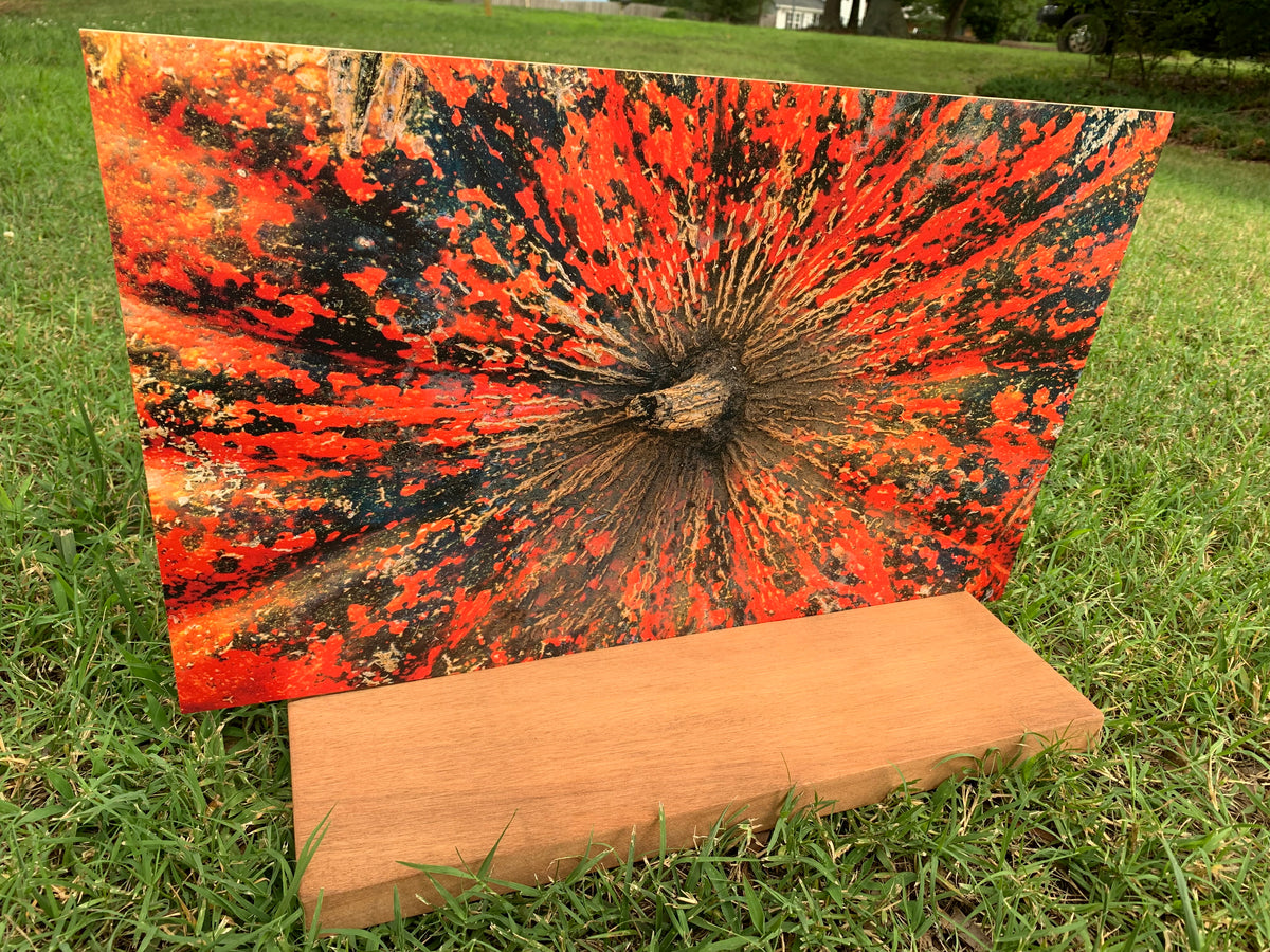 PatternPly® Full Coverage Mottled Pumpkin product photo 3