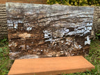 PatternPly® Full Coverage Lovewood sheet showing the pattern