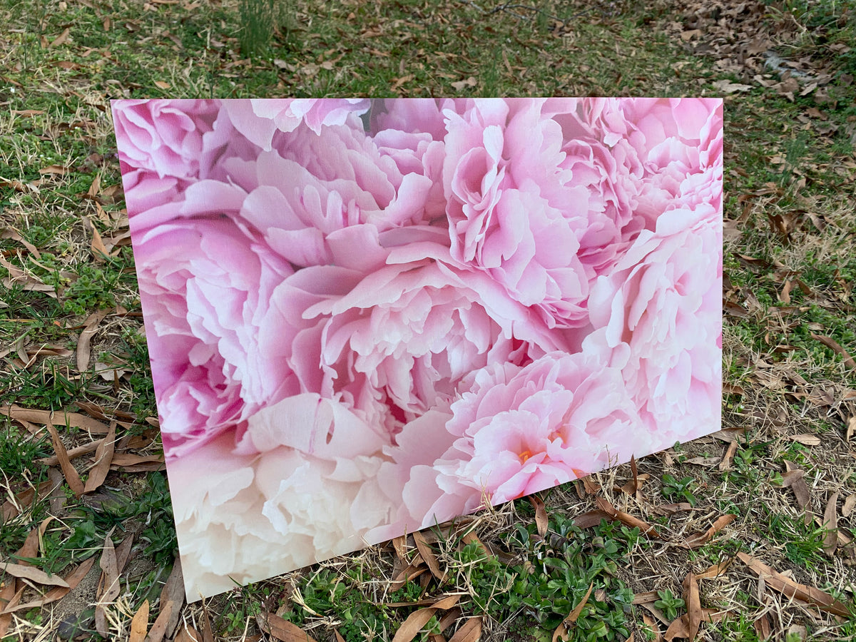 PatternPly® Full Coverage Peonies product photo 3