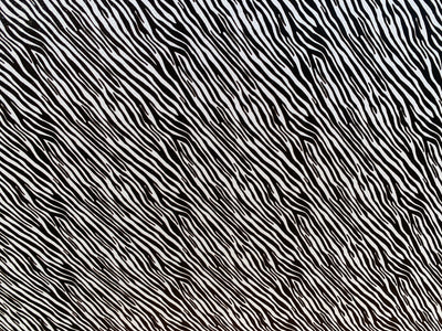 PatternPly® Micro Zebra