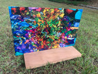 PatternPly® Full Coverage Stained Glass Swirl product photo 3