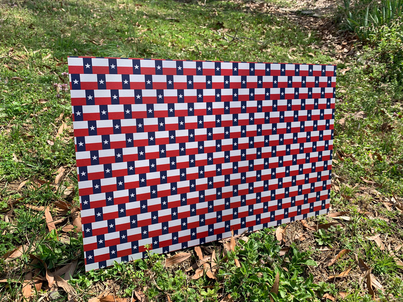 PatternPly® Texas Flag