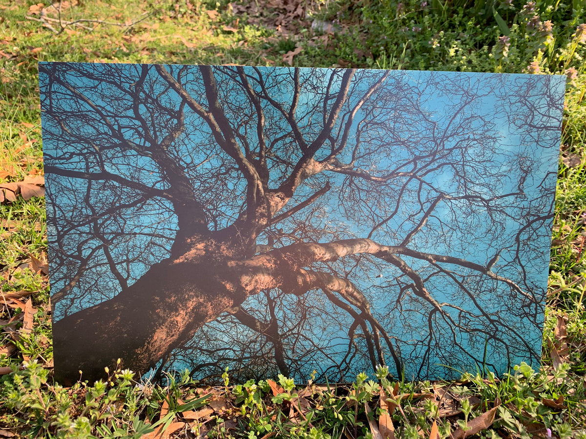 PatternPly® Full Coverage Tree sheet showing the pattern