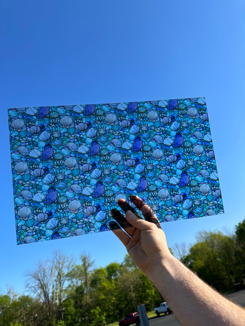 PatternPly® Transparent Stained Glass Seashells sheet showing the pattern