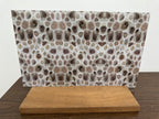 PatternPly® Full Coverage Petoskey Stone sheet showing the pattern