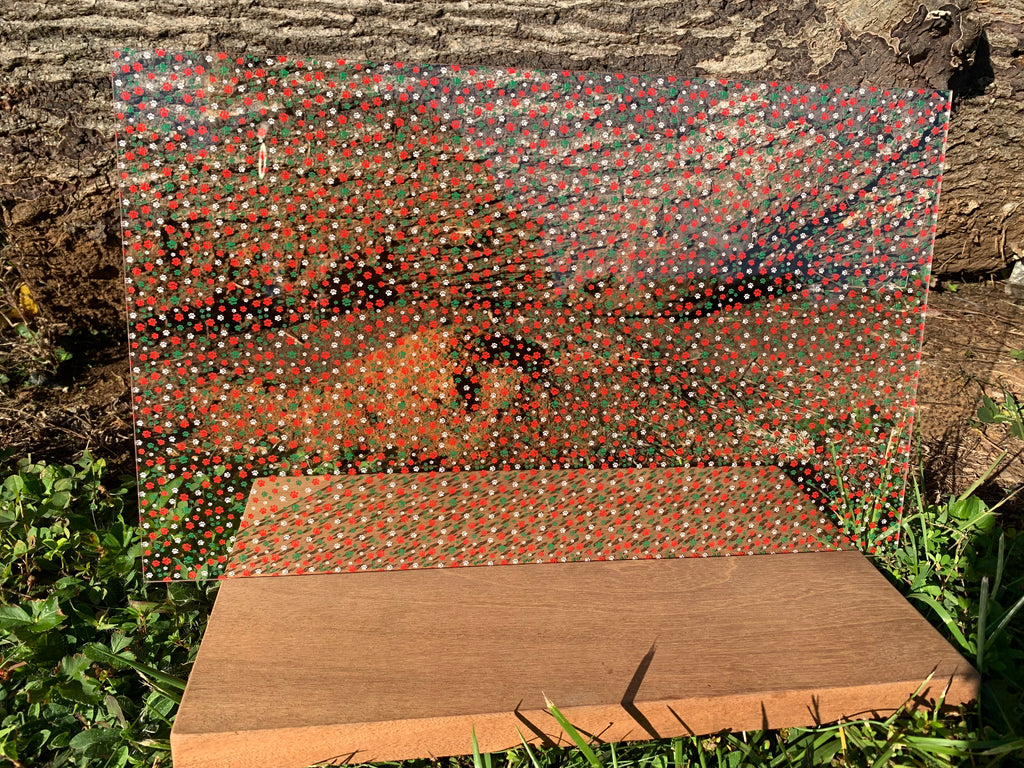 PatternPly® Scattered Red, White, Green Pawprints product photo 4