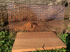 PatternPly® Scattered Red, White, Green Pawprints product photo 4