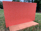 PatternPly® Full Coverage Pumpkin Spice product photo 3