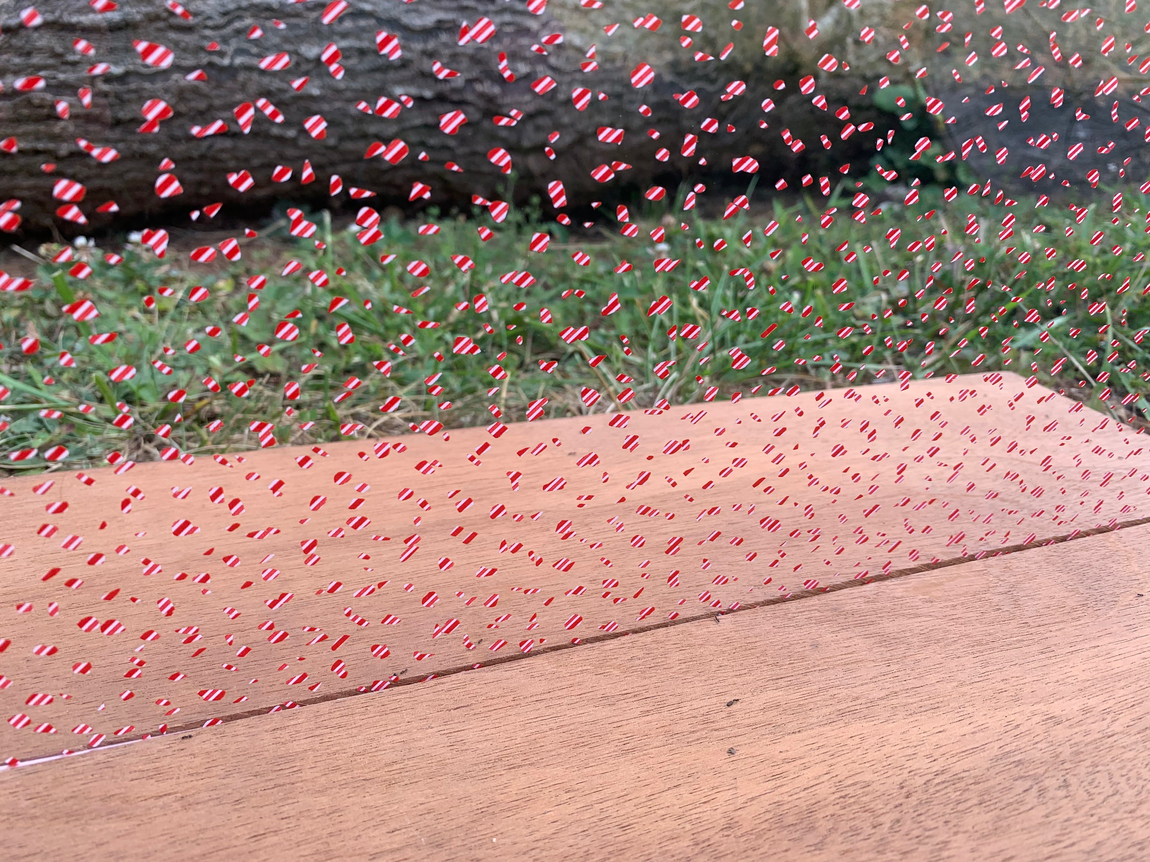 PatternPly® Scattered Broken Candy Cane product photo 2