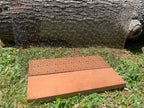 PatternPly® Scattered Micro Dogs product photo 3