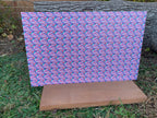 PatternPly® Full Coverage Micro Preppy Floral #1 product photo 3