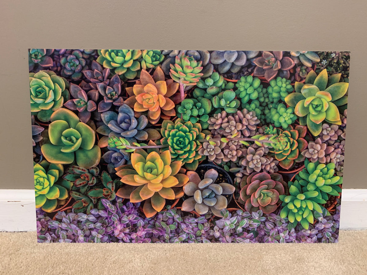 PatternPly® Full Coverage Assorted Succulents sheet showing the pattern