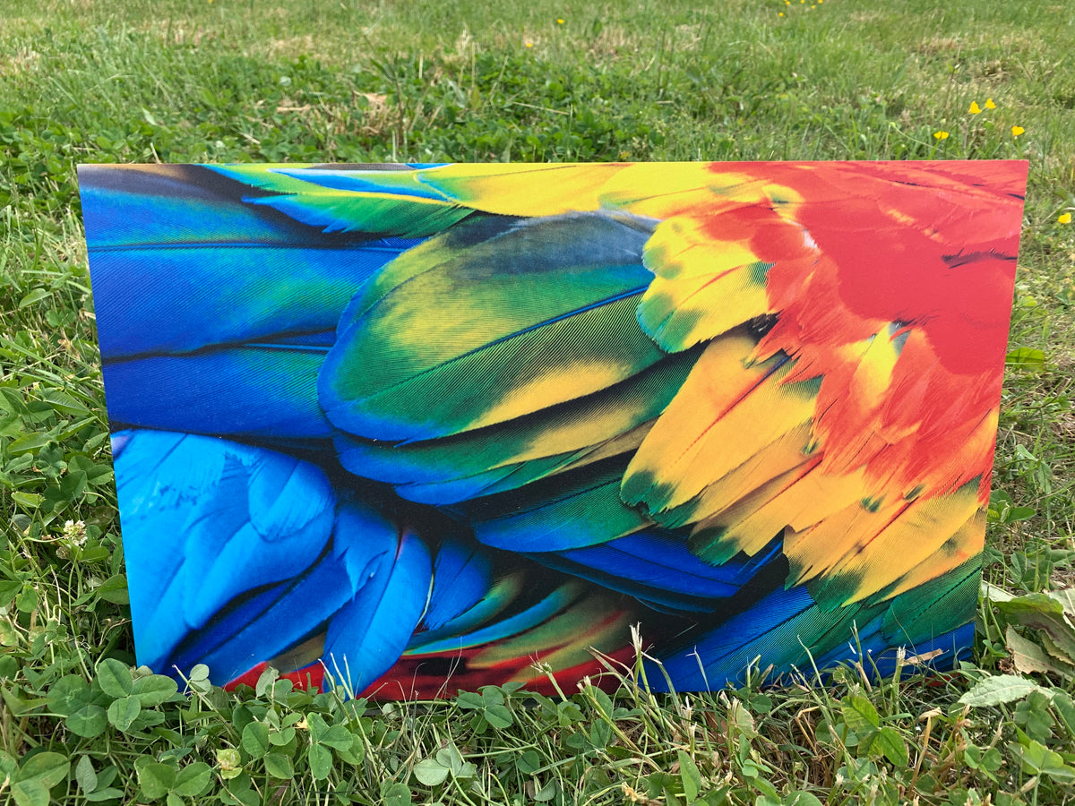 PatternPly® Full Coverage Parrot product photo 3