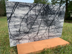 PatternPly® Full Coverage Spooky Trees product photo 3
