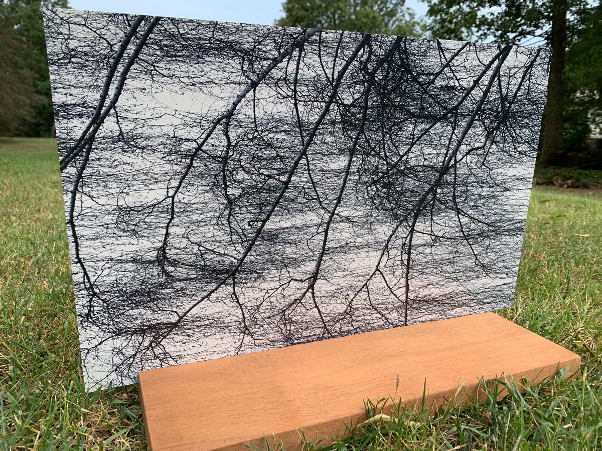 PatternPly® Full Coverage Spooky Trees product photo 3