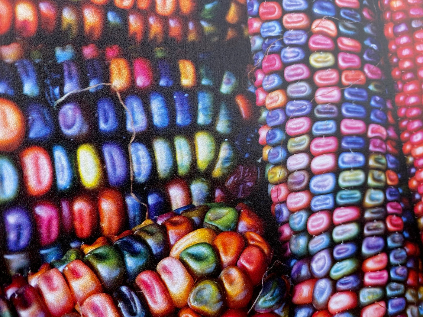 PatternPly® Rainbow Corn