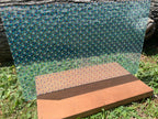PatternPly® Scattered Starfish product photo 3