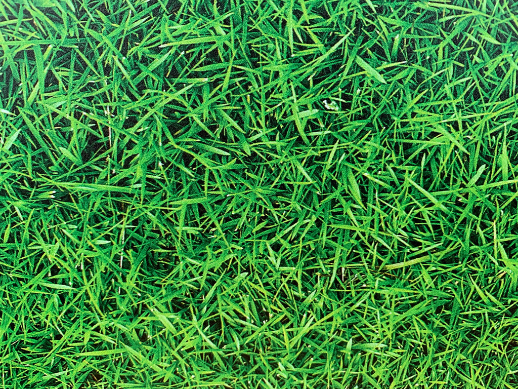 PatternPly® Full Coverage Grass sheet showing the pattern
