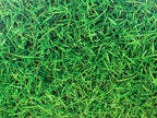 PatternPly® Full Coverage Grass sheet showing the pattern