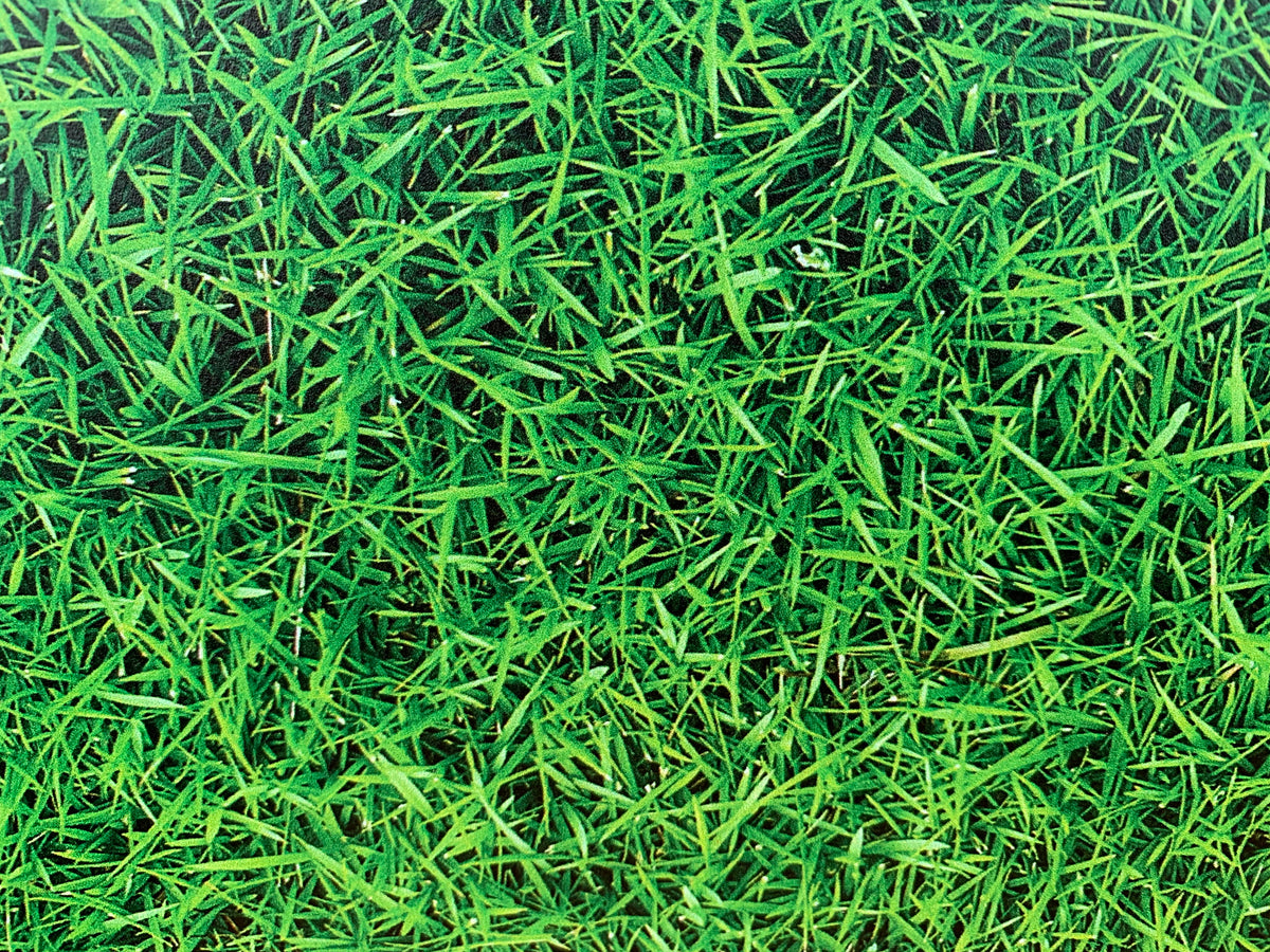 PatternPly® Full Coverage Grass sheet showing the pattern