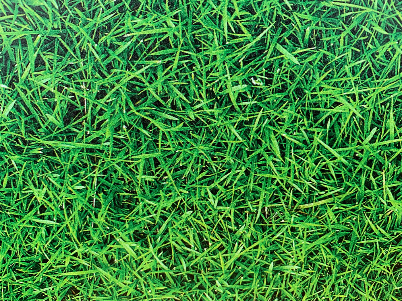 PatternPly® Grass