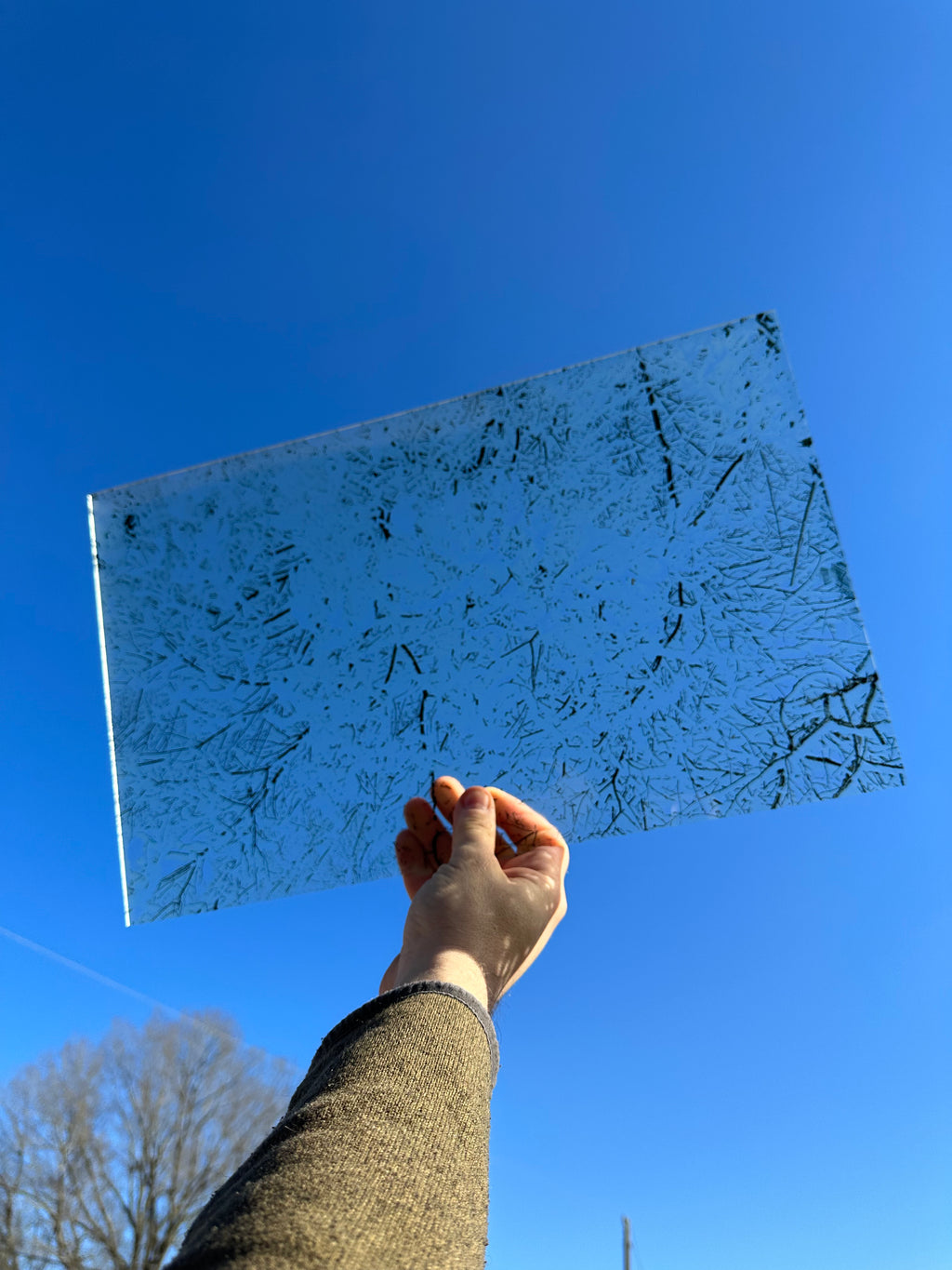 PatternPly® Transparent Snowy Branches sheet showing the pattern