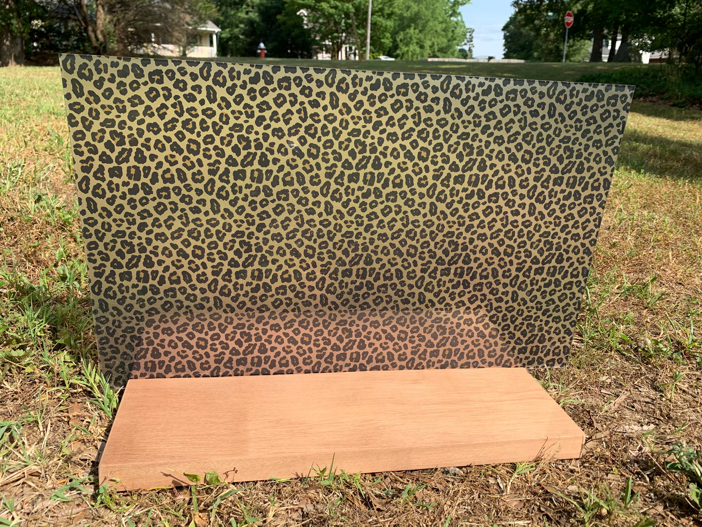 PatternPly® Acrylic Transparent Leopard