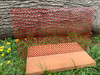 PatternPly® Scattered Cardinals product photo 4