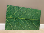 PatternPly® Full Coverage Leaf sheet showing the pattern