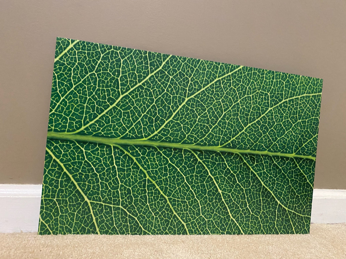 PatternPly® Full Coverage Leaf sheet showing the pattern