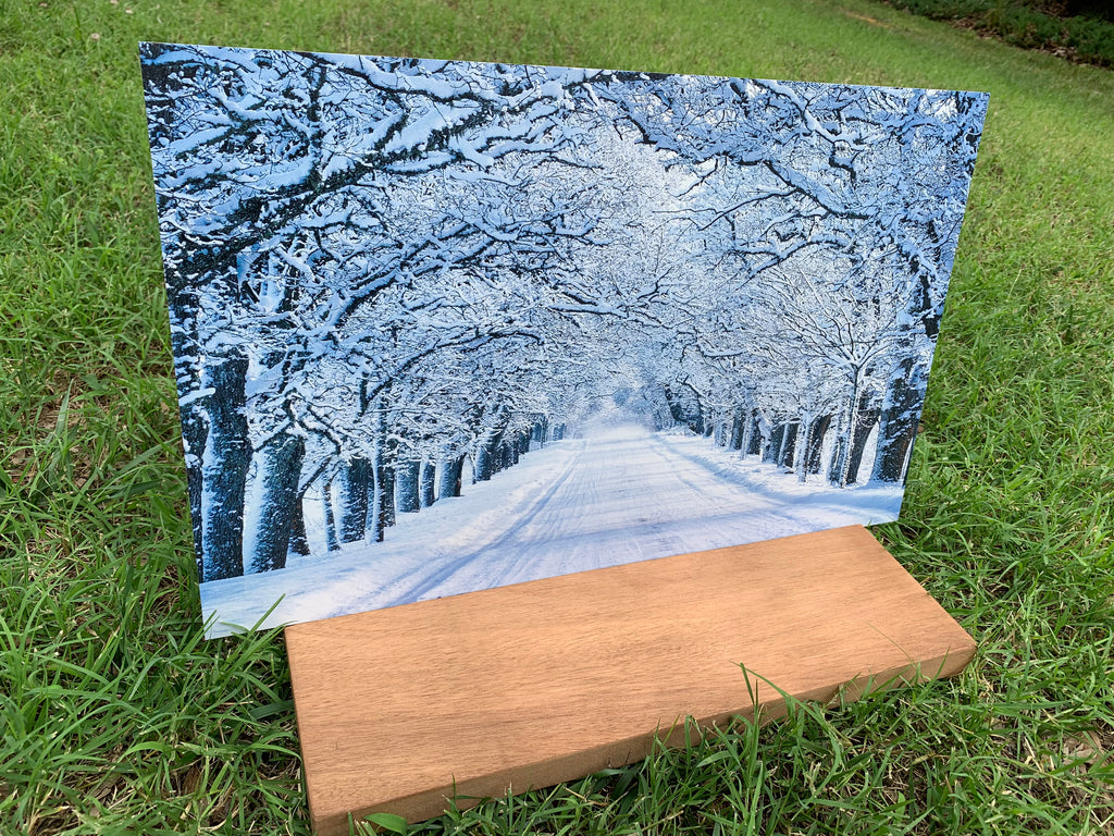 PatternPly® Full Coverage Snowy Trees product photo 3