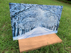 PatternPly® Full Coverage Snowy Trees product photo 3