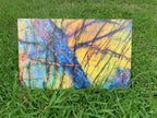 PatternPly® Full Coverage Neon Rock sheet showing the pattern