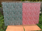 PatternPly® Full Coverage Christmas Leopard Duo product photo 3
