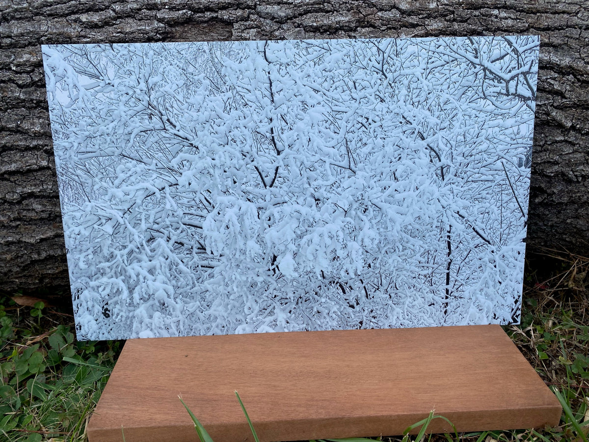PatternPly® Full Coverage Snowy Branches product photo 3