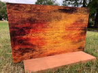 PatternPly® Full Coverage Fall Colors 2 product photo 3