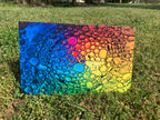PatternPly® Full Coverage Oil Rainbow sheet showing the pattern
