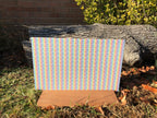 PatternPly® Full Coverage Micro Rainbow Zebra Stripes sheet showing the pattern