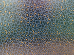 PatternPly® Full Coverage Slate, Black, and Tan Leopard product photo 4