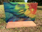 PatternPly® Transparent Parrot sheet showing the pattern