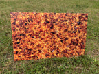 PatternPly® Full Coverage Amber sheet showing the pattern
