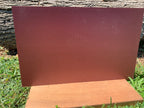 PatternPly® Full Coverage Football Surface (NOT textured) product photo 2