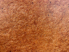 PatternPly® Full Coverage Gingerbread product photo 3