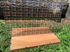 PatternPly® Scattered Micro Horses product photo 3