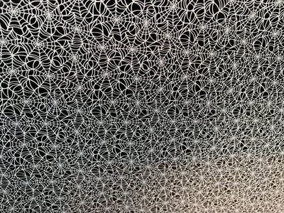 PatternPly® Acrylic Textured White Spiderweb on Black