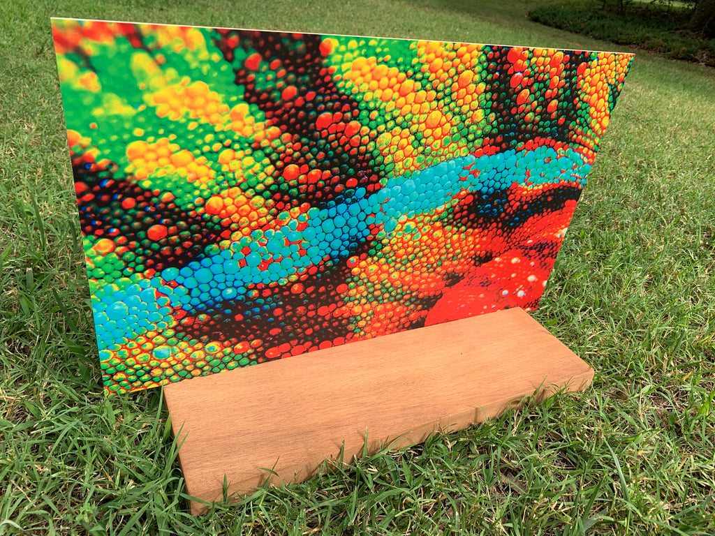 PatternPly® Full Coverage Chameleon product photo 3