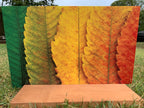 PatternPly® Full Coverage Leaf Gradient sheet showing the pattern