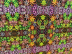PatternPly® Full Coverage Micro Assorted Succulents sheet showing the pattern