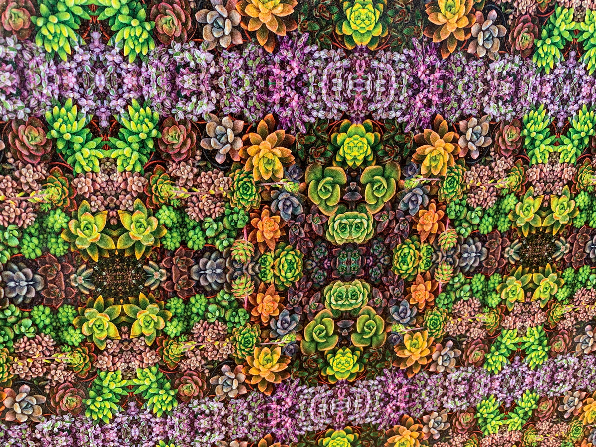 PatternPly® Full Coverage Micro Assorted Succulents sheet showing the pattern