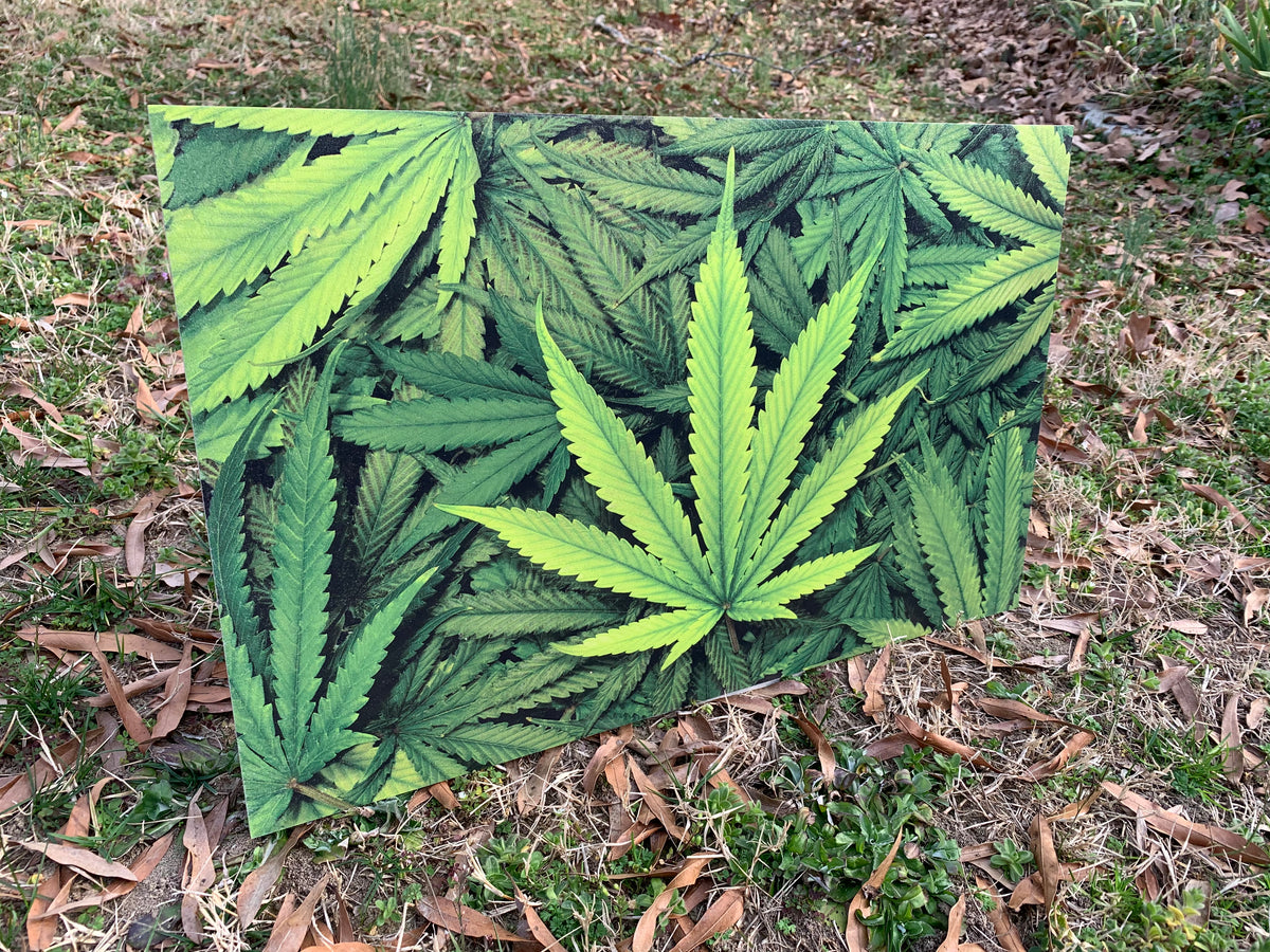 PatternPly® Full Coverage Marijuana Leaves product photo 3